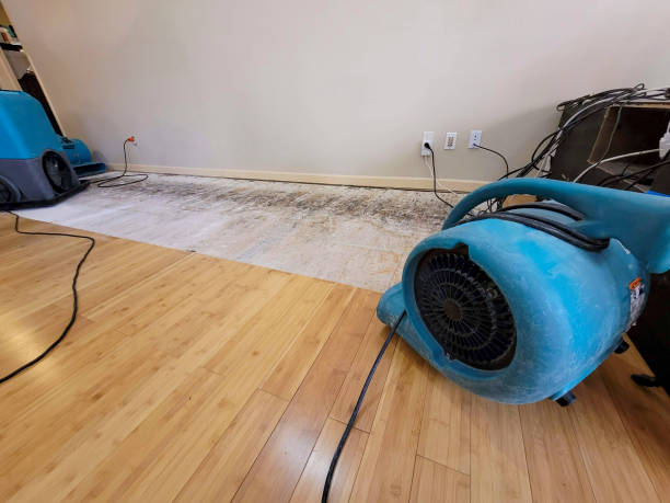 Professional Emergency Water Damage technician working in Magnolia, AR